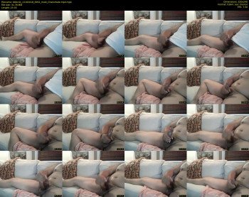 bbbc41