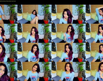 catalina_fox