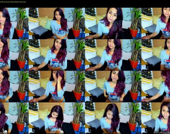 catalina_fox