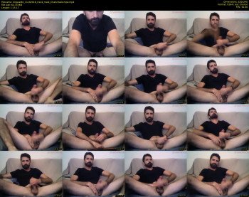 kingcat82