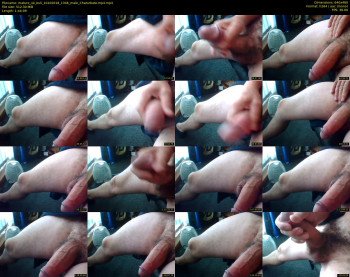 mature_uk_bull