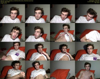 sexual_vibrations
