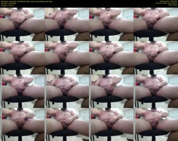 squirteril