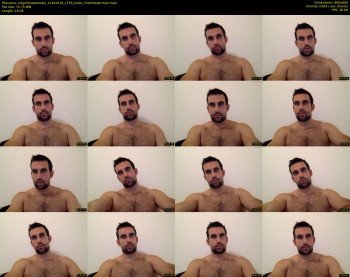 angellonewmodel