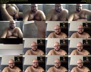italian_bear