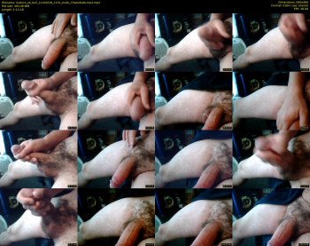 mature_uk_bull