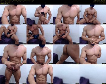 promuscles4u