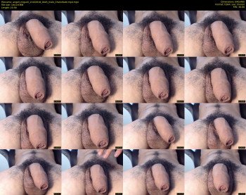 angell_miguell
