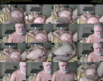 bullmorphis