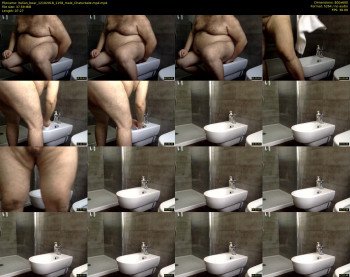 italian_bear