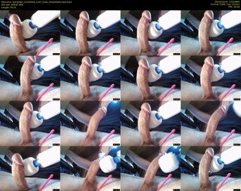 sportytwo
