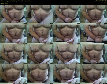 furrybear2