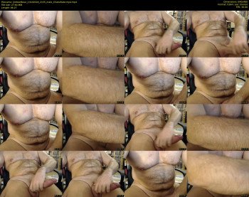 jimbeefbear