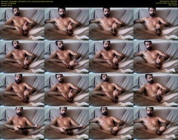 kingcat82