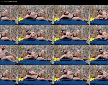 naughty_bear_