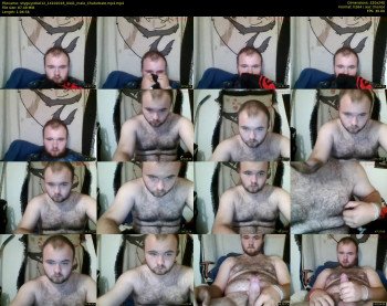 shyguyrebel12