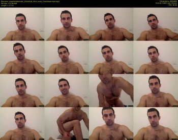 angellonewmodel