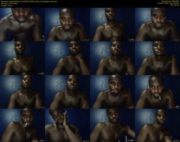 apollodarkmn