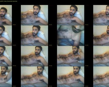 boredbeast