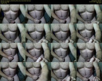 furrybear2