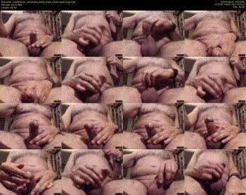 nipdreamer