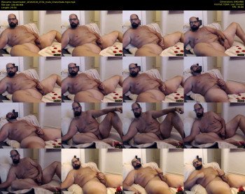 bearmeater