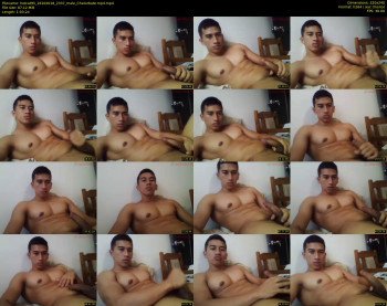 hotcat95