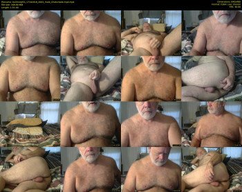 bullmorphis
