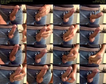 silviocock22
