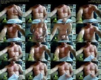 veget4