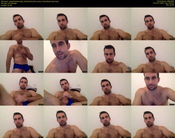 angellonewmodel