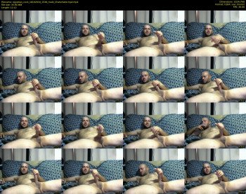 egyptian_cock