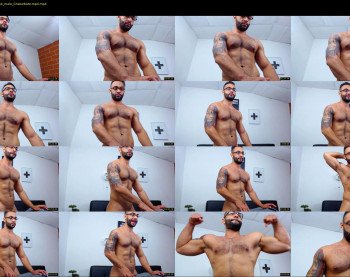 apolo_fox
