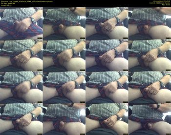 chip_chip69