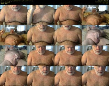 bullmorphis