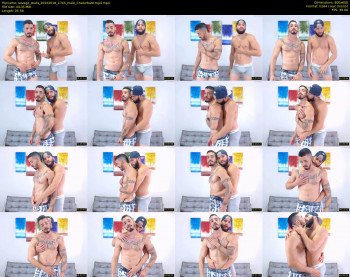 savage_studs