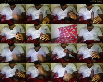 tintin_123