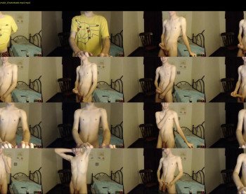 aleccat