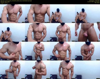 promuscles4u