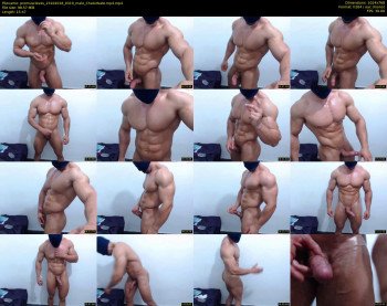 promuscles4u