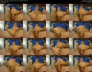 uk_stallion