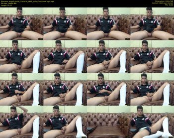 angell_david