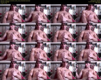 dalfox_94