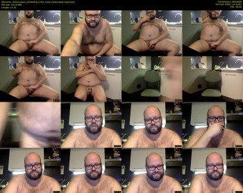 italian_bear