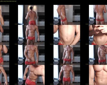 muscleboytop