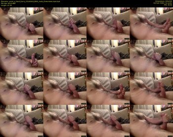 youre_a_lizard_harry