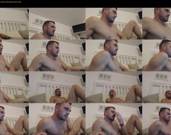 dltibers