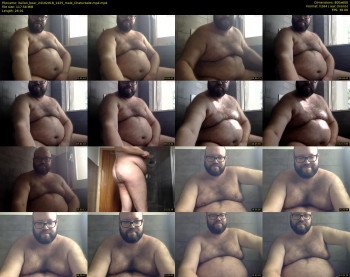 italian_bear