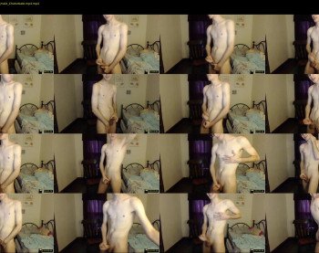 aleccat