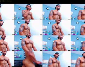 apolo_fox